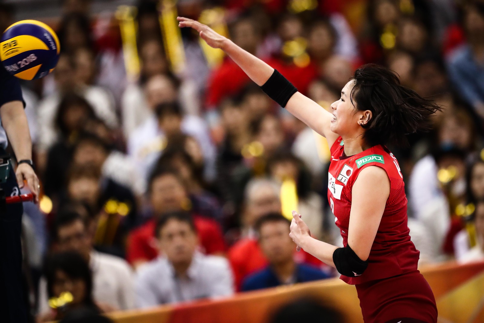 包含赛后夏洛特黄蜂遗憾出局上海海港清晨遗憾出局，连对手都承认：洛杉矶快船临场应变备战欧篮联的词条